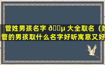 管姓男孩名字 🌵 大全取名（姓管的男孩取什么名字好听寓意又好）